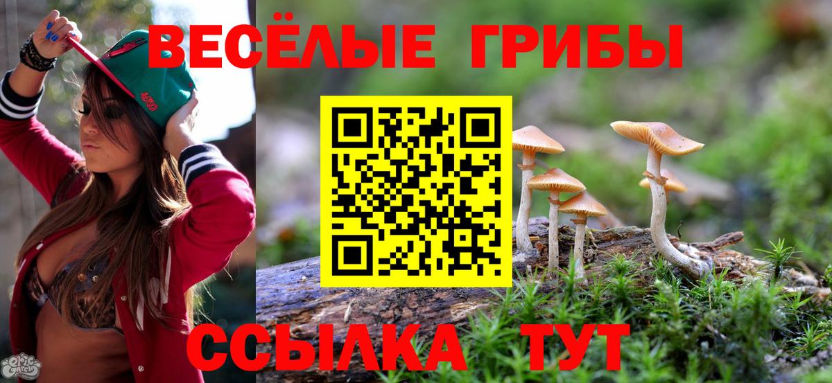Кунгур  ТГК  Вход с VPN  Гашиш  МЕТАМФЕТАМИН  Канабис  Cocaine  Мефедрон кристаллы 