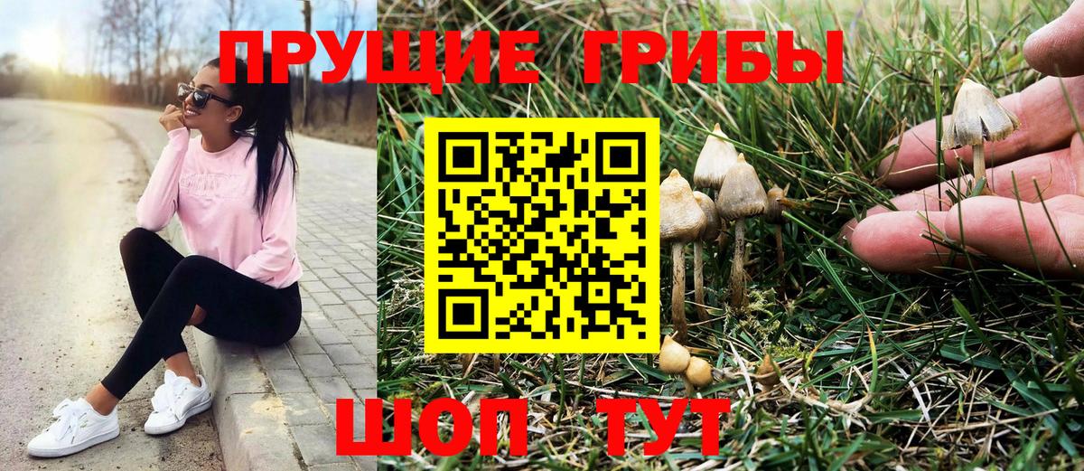 Галлюциногенные грибы ЛСД  Вход с VPN  Кунгур  Псилоцибиновые грибы Cubensis 